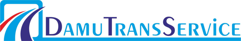 DAMU TRANS SERVICES